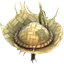 Straw Hat