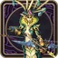 Elite Medusae