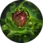 Fatal Decay